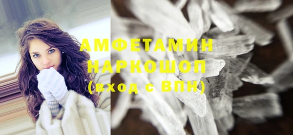 индика Осинники