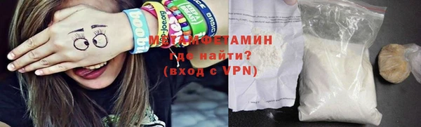 индика Осинники