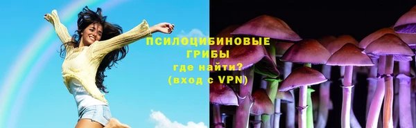 индика Осинники