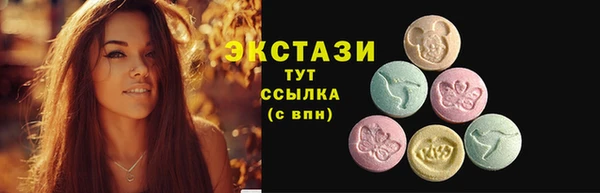 индика Осинники