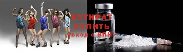 индика Осинники