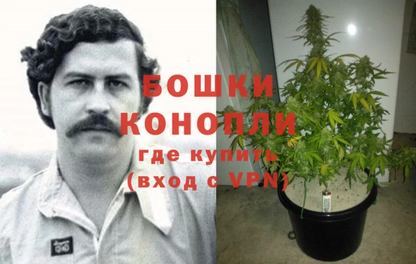 прущие грибы Остров