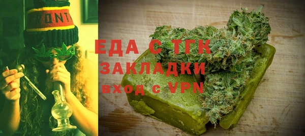 индика Осинники