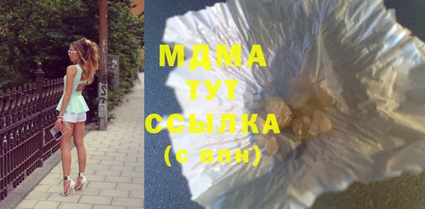 индика Осинники