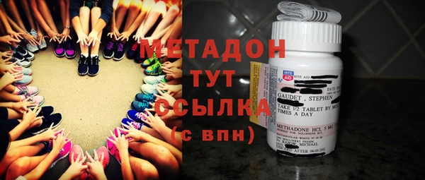 индика Осинники