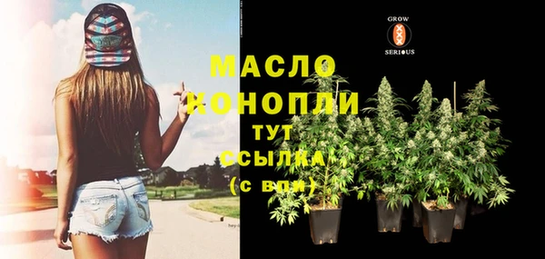 индика Осинники