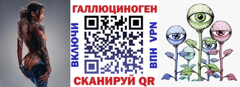 закладки  Полярный  Псилоцибиновые грибы GOLDEN TEACHER 